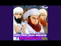 TERI IK NIGHA NAY SOHNYA