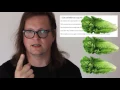Surly Dylan Suttles Reads MORE Craigslist Ads