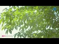 [MV] KIM NA YOUNG(김나영)_ TO BE HONEST(솔직하게 말해서 나)