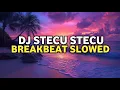 Download Lagu DJ Stecu Stecu Breakbeat (Slowed) | SUPER EXC [Donny Fernanda x SANDI KAWEK]