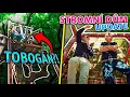 Download Lagu TOHLE BUDE DIVOKÝ TOBOGÁN 🤣 | DŮM NA STROMĚ! 