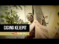 Cicing Kejepit - Arumi Bali (Official Music Video)