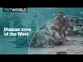Download Lagu The ugly story of human zoos