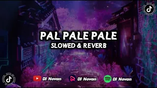dj pal pale pale slowed u0026 reverb dj novan 