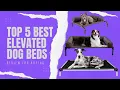 Top 5 Best Elevated Dog Beds in 2026 Don t Buy Before Watching