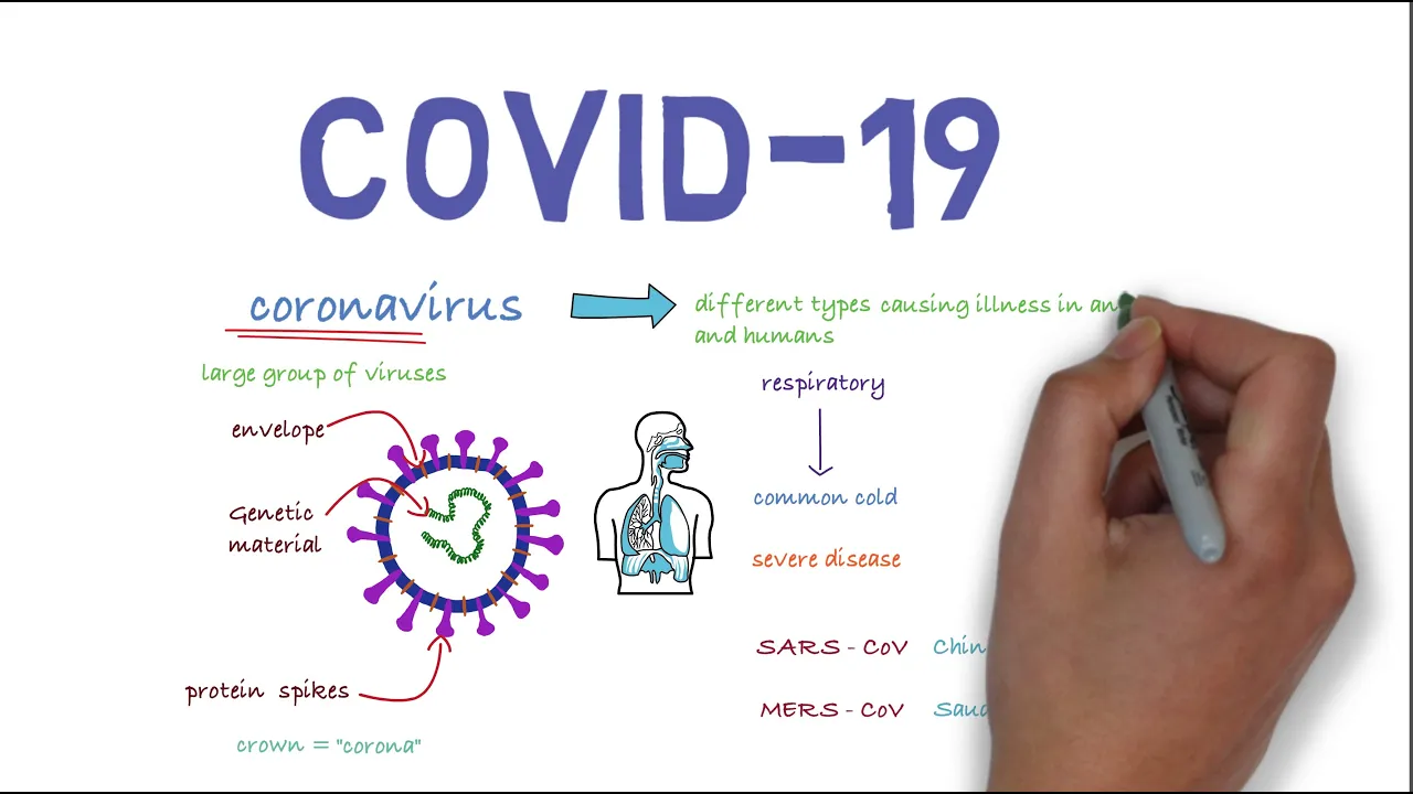 UK new coronavirus variant “out of control” as countries announce travel bans - BBC News. 