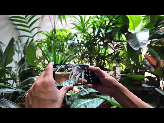 Demo SwitchLens