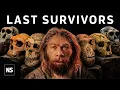 What Happened to the Other Humans