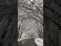 Nature The Most Beautiful Of Life | ..Amazing | Location | Of Natur | Romantic Way |