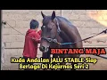 Download Lagu BINTANG MAJA Kuda Andalan JALU STABLE GARUT Siap Berlaga di KEJURNAS SERI 2 Bantul Jogjakarta..