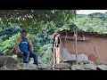 Download Lagu ISOLADO E SOZINHO GILMAR VIVE EM SEU PARAISO SIMPLES E ENCANTADOR