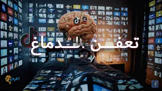 تعفّن الدماغ: ماذا تفعل بنا السوشيال ميديا دون أن نشعر؟