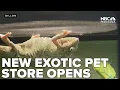 New Dillon pet store features dozens of exotic animals