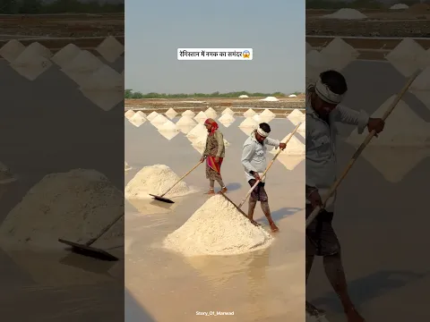 रेगिस्तान में नमक का समंदर 😍#shorts #dessert #sambhar #salt #work #family #sambhaake