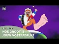 Download Lagu Wat is de ecologische voetafdruk?