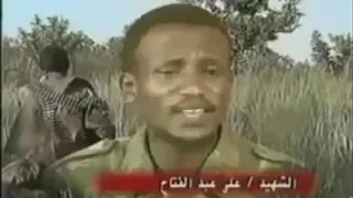 الدبابين اسود الغابه كان درت الموت تعال جوه الغابه دندنها