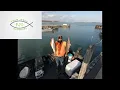 Detroit River Report 4