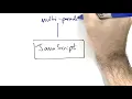 IS216 SMU - JavaScript Part 1
