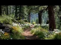 A Softer Morning for the Weary Heart 🎻 Cello & Violin | Stress & Anxiety Relief