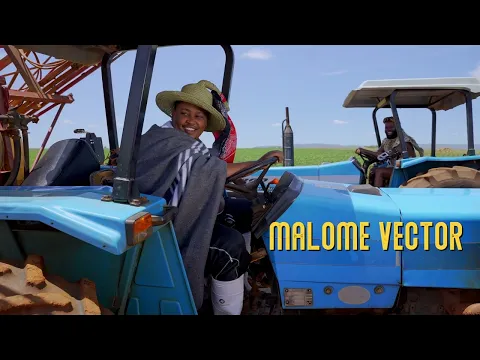 Download MP3 Mally Ft Malome Vector-Type Yami(official music video)