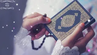mera dil gunah ka mareez hai best naat 2021 best kalam whatsapp status