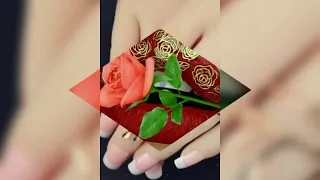 Ashita Dharraa Lokho Jaalallaa New Oromo Music 2019 