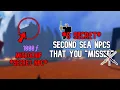6 Secret NPCS That You Have MISSED in Second Sea Blox Fruits