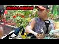 Download Lagu Lepas Liarkan Burung Burung Kesayangan