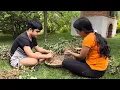 Download Lagu My autistic son reaping the first fruits of his plantation