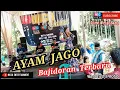 AYAM JAGO - Versi BAJIDORAN nico entertainment