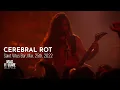 Download Lagu CEREBRAL ROT live at Saint Vitus Bar, Mar. 25th, 2022 (FULL SET)