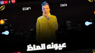 حالات واتس عصام صاصا و سامر المدني شارب كاس 