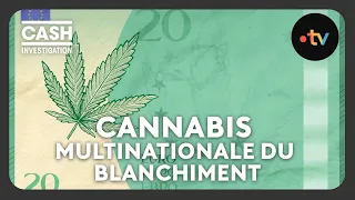 Cannabis, la multinationale du blanchiment - Cash investigation