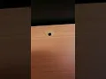 Vídeo do produto