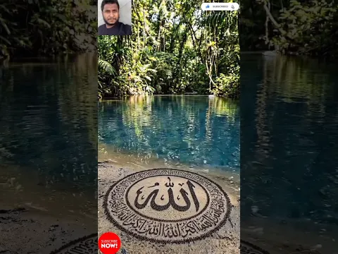 সুবহানাল্লাহ🤲হাঁসটির মানবিকতা দেখে আমার হৃদয় ছুঁয়ে গেছে😱 #shorts #viralvideo #youtubeshorts #viral