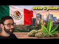 Weed is Still NOT Legal in Mexico 2026 Update What You Need To Know About Cannabis in Mexico