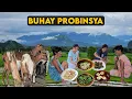 Download Lagu Dadami na sila buntis na ating mga kambing | Buhay Probinsya | Mindoro 
