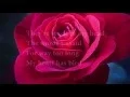 Download Lagu Michael Learns to Rock - Crushing Blue (LYRICS)