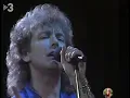 Robert Plant - Big Log, 1985