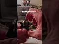 Lego LOTR viral