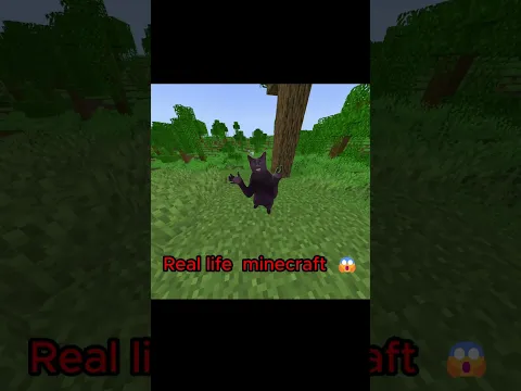 MINECRAFT VS REAL LIFE 😱