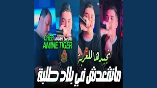 مانقعدش في بلاد طلبة 