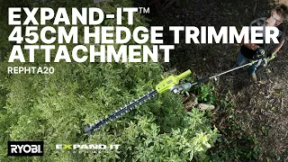 RYOBI Expand-It 45cm Hedge Trimmer Attachment REPHTA20 in action