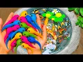 Download Lagu Catch Colorful Aquarium fish In Small Pond, Tadpoles, Seahorses, Koi, Glass Fish, Angelfish, Guppies