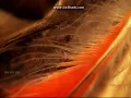 A Warm Place (Stella Soleil Mix) - Nine Inch Nails