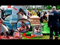 Download Lagu Burial Jessica Dolphin Attacked Even the Orca come to say Goodbye 😢 😭