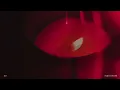 Sam Williams - Siren Song (Official Audio Video)