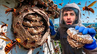 ‼️Destruimos Nidos de Avispones Asiáticos‼️- Trabajos Peligrosos #3