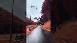 موسيقى علشان ماليش غيرك 