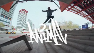 ANIMAL Carlos Bernal 